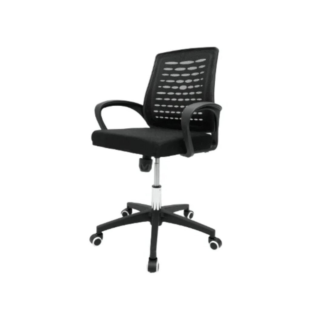 Low Back Econo Revolving Chair