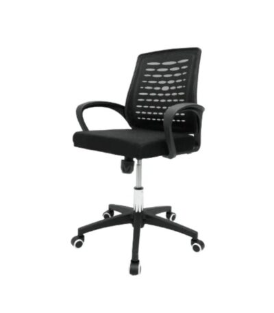 Low Back Econo Revolving Chair