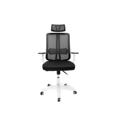 023 Model Chair
